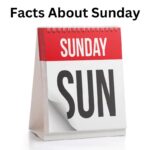 成田（千葉県成田市）の歯医者、メイプル歯科はなのき台クリニックで夜間・休日の歯の激痛対処法と救急外来診療を受診する際の判断基準を解説